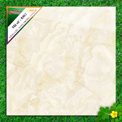 Gạch World Tiles SCT 8302